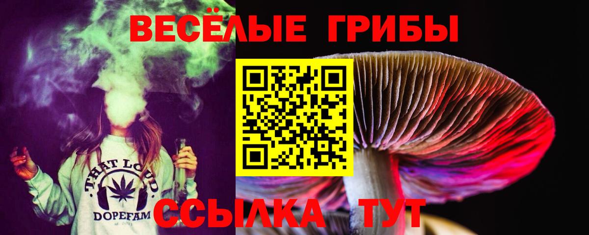 Псилоцибиновые грибы MAGIC MUSHROOMS Кингисепп
