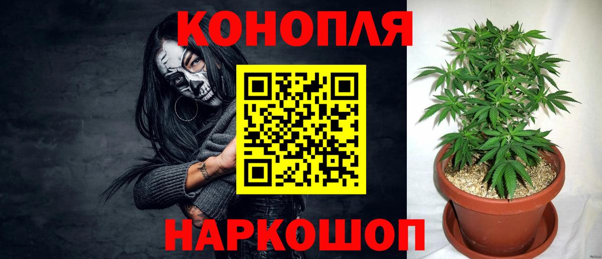 Конопля Bruce Banner Кингисепп
